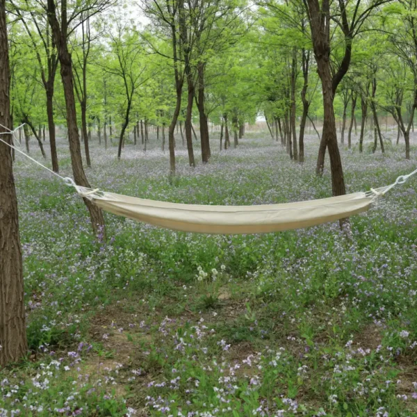 Hammock AA45401