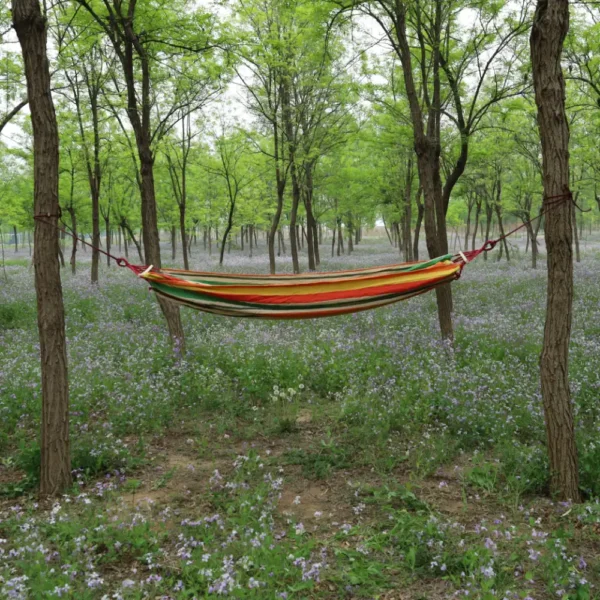 Hammock AA45301