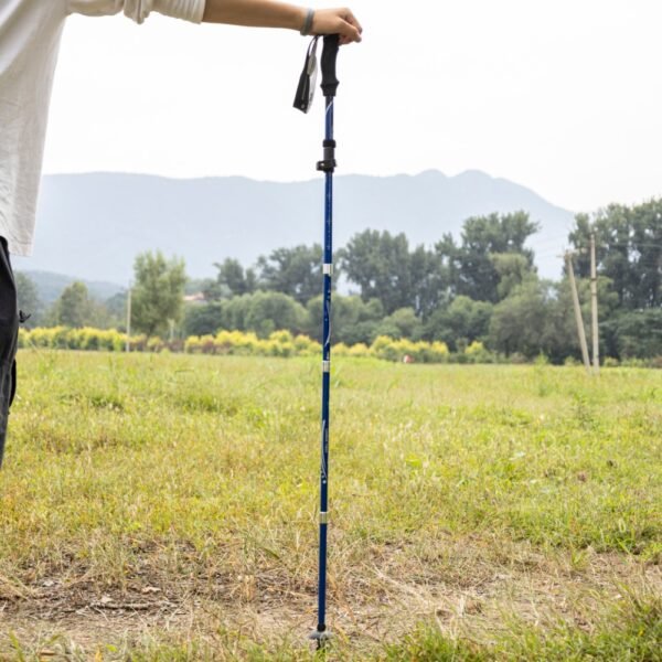 Outdoor Factory Custom Folding Carbon Fiber Hikking Poles - Image 3