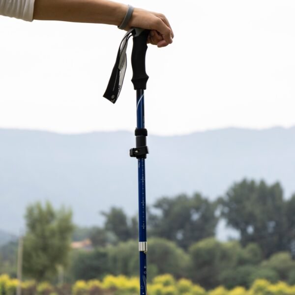 Outdoor Factory Custom Folding Carbon Fiber Hikking Poles - Image 4